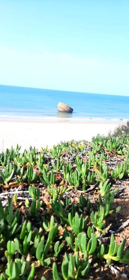Caracola Beach Matalascanas Bagian luar foto